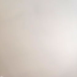 Animal crossing: New Horizons - Nintendo Switch Game