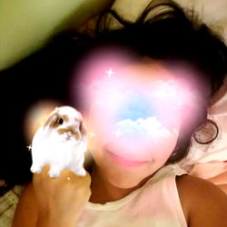 Surreal Instagram Post with Pet Rabbit