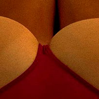 Wild Wolf 🐺 photo