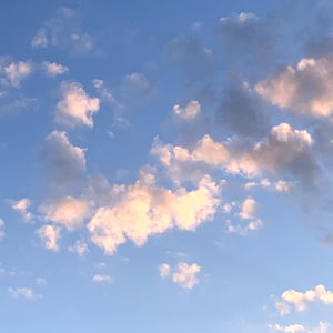 King Of Dumpies photo