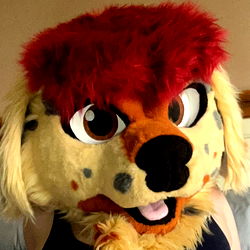 Furry Fashion: A Look at Pup_Poison's Cute and Colorful Styling