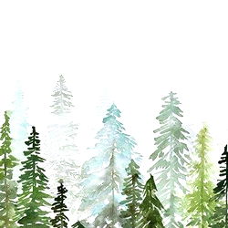 Naturally Amber FREE photo