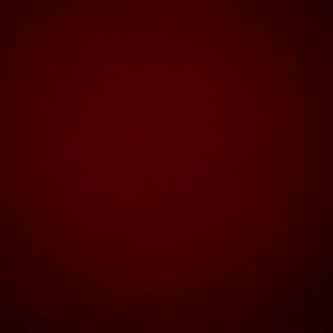 ๐ฎโ๐จ photo