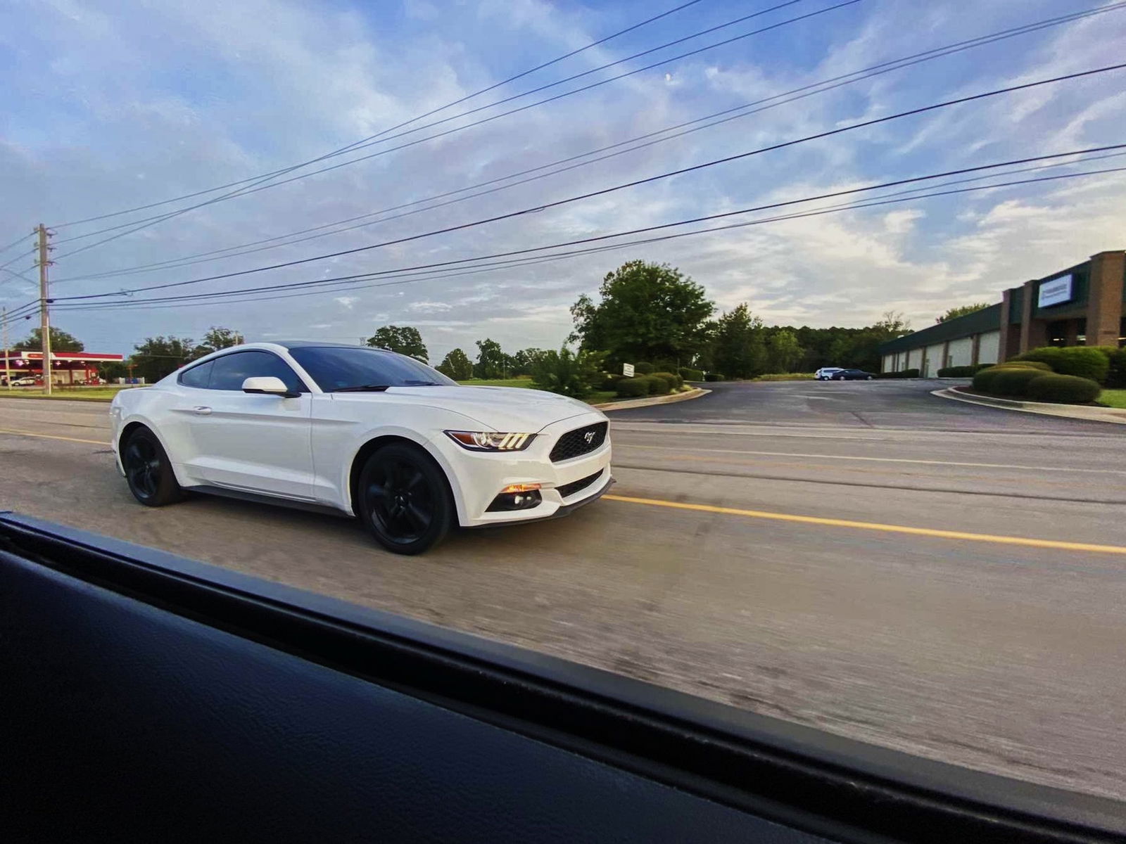 adavidollarsign photo