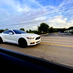 adavidollarsign photo