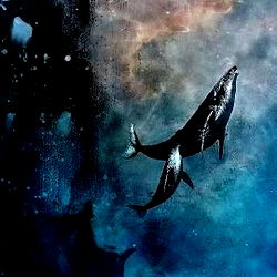 plumes-of-happy photo