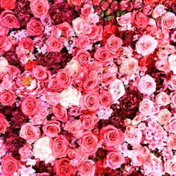 Aisa Lรณpez photo