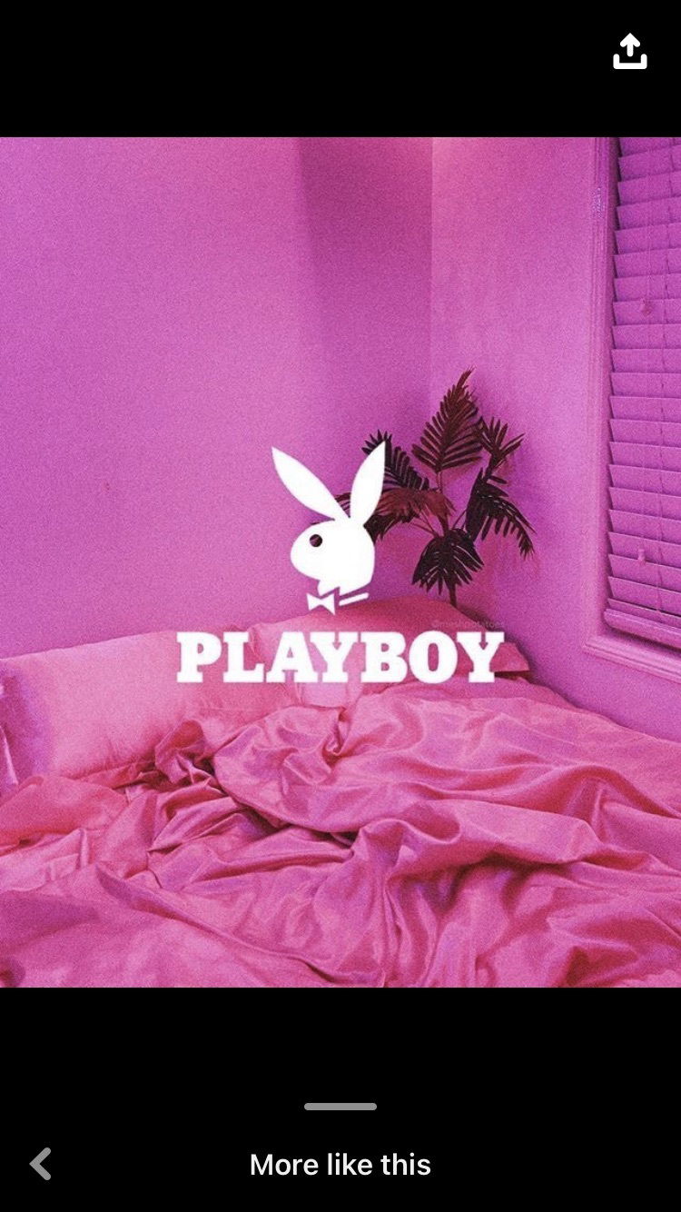 suzuki da don. photo