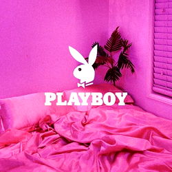 suzuki da don. photo