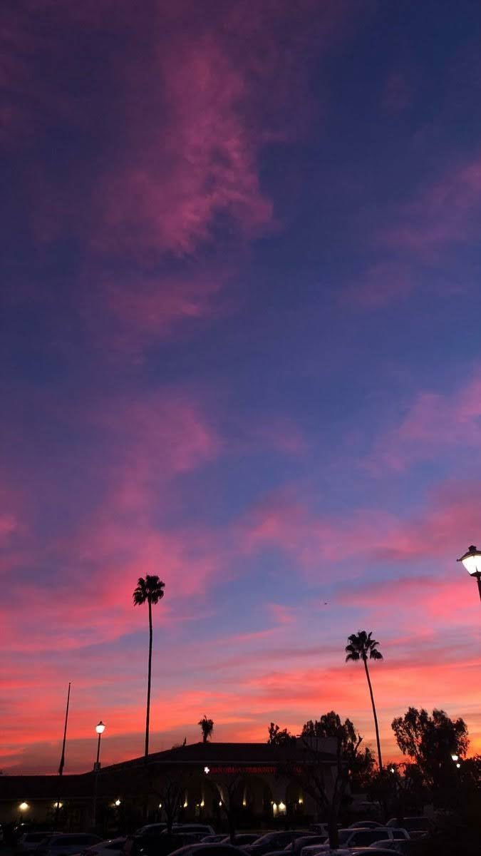 Austin Growney photo