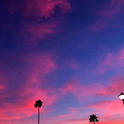 Austin Growney photo