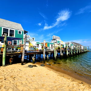 Adam Wirthmore photo