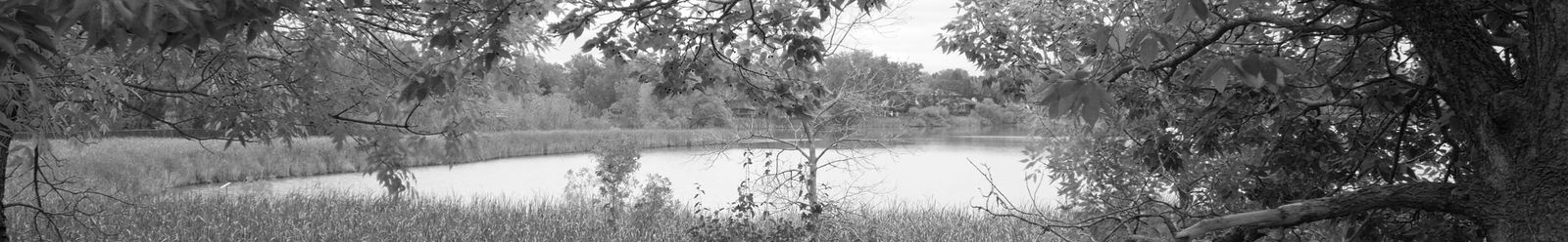 asianmanwhitegirl photo