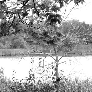 asianmanwhitegirl photo