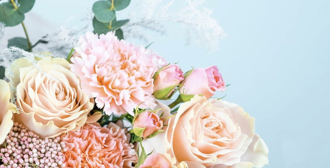 Adriana Dominguez photo