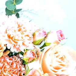 Adriana Dominguez photo