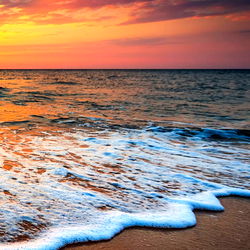 Footprints in the Sand photo