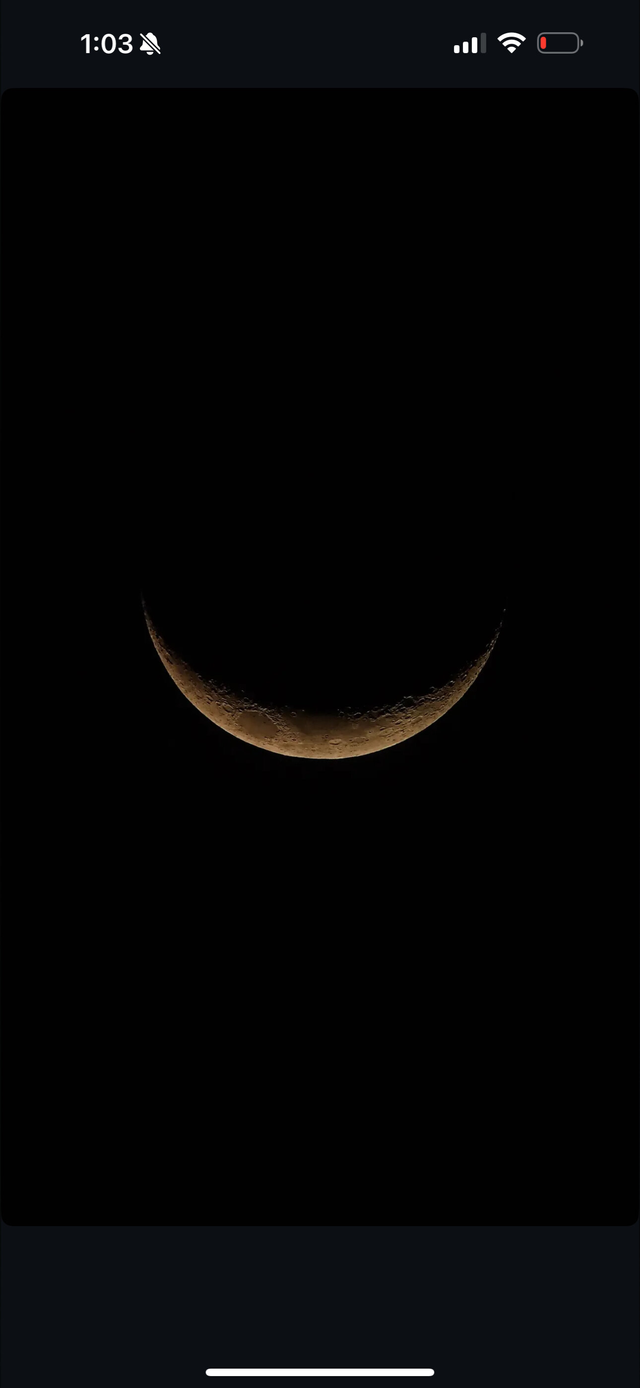 Abeth Elizondo photo