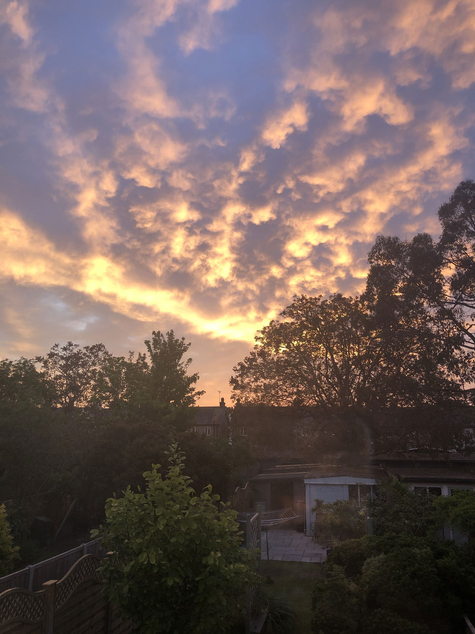 Jess Fairchild photo