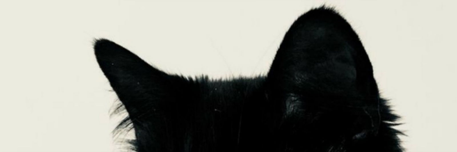 ꒰ঌ 𝔞𝔫𝔤𝔢𝔩 ໒꒱ photo