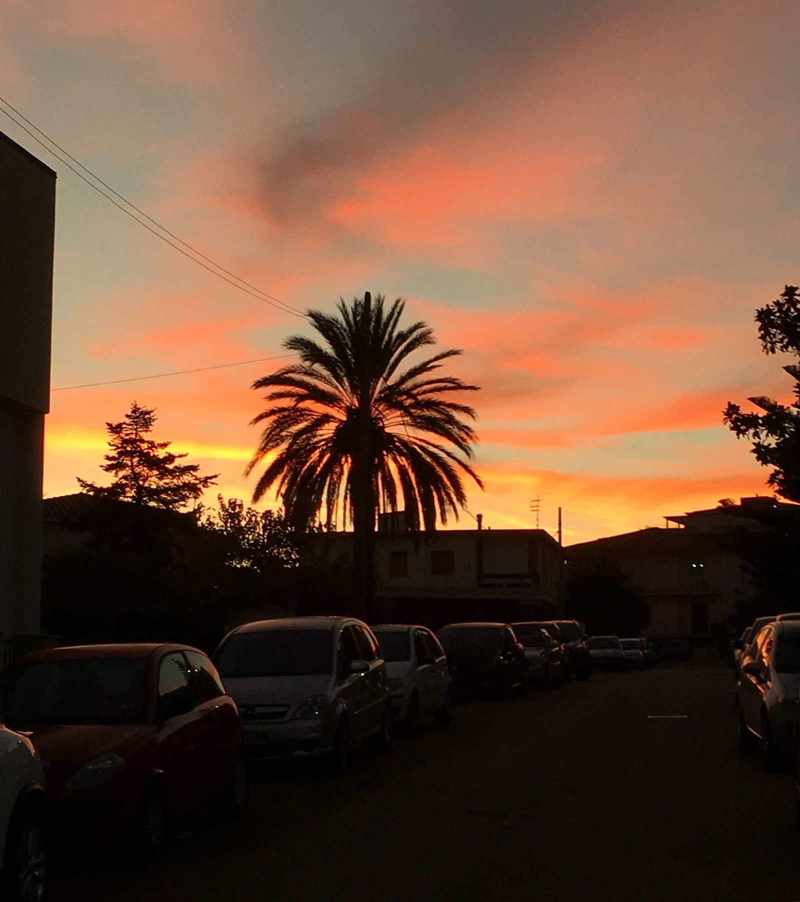 Who maybe me maybe you! photo