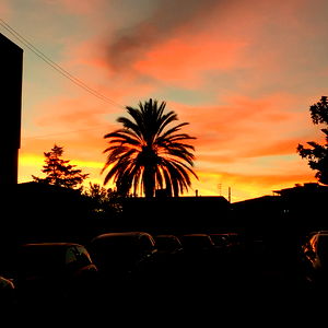 Who maybe me maybe you! photo