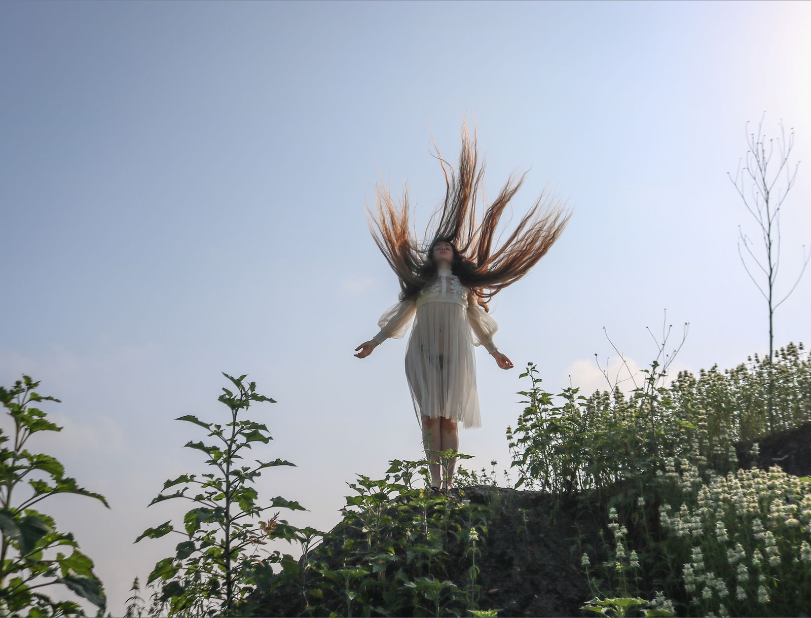 Creature Feature photo