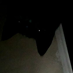 Onlyfans model photo with text