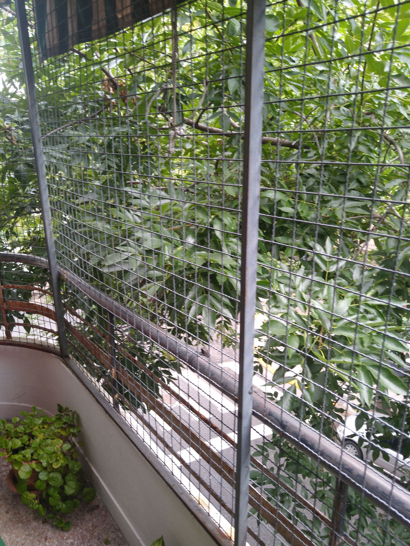 alejandro béjar photo