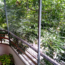 alejandro bรฉjar photo