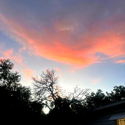 Karma James๐ซ photo