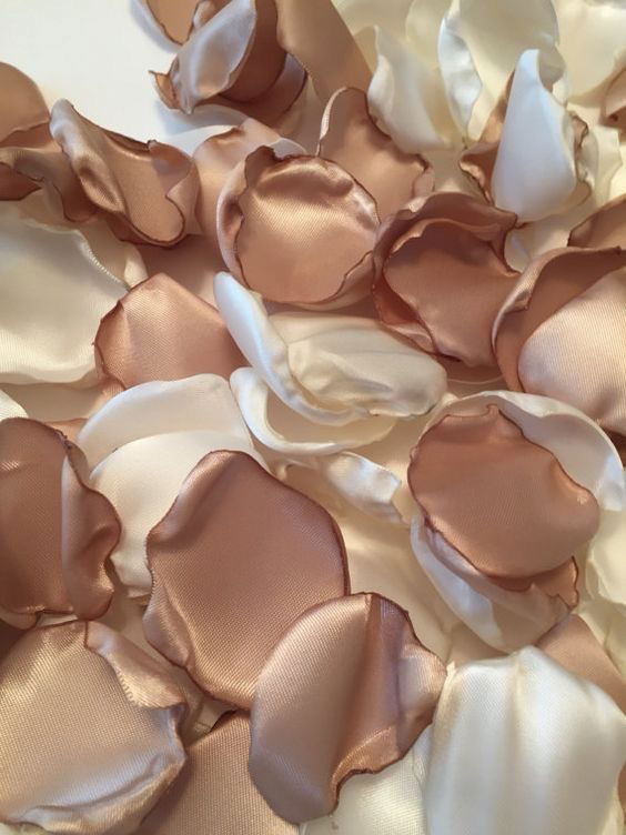 𝐋𝐲𝐫𝐚 𝐀𝐦𝐨𝐫𝐫 photo