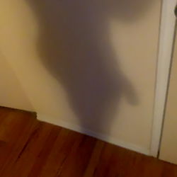 OnlyFans Model Photo