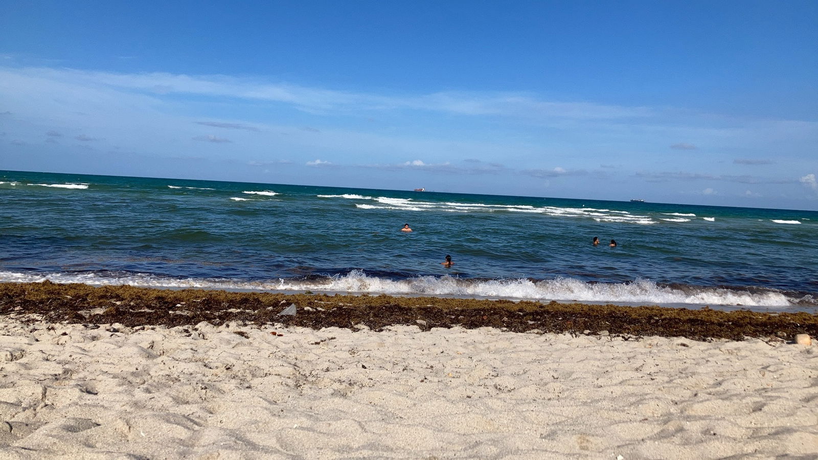 Royal Diamond 💎 photo