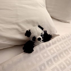 Teddy Bear Peeking from Pillow of Bed