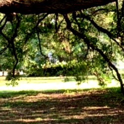 Alexander Wolf photo