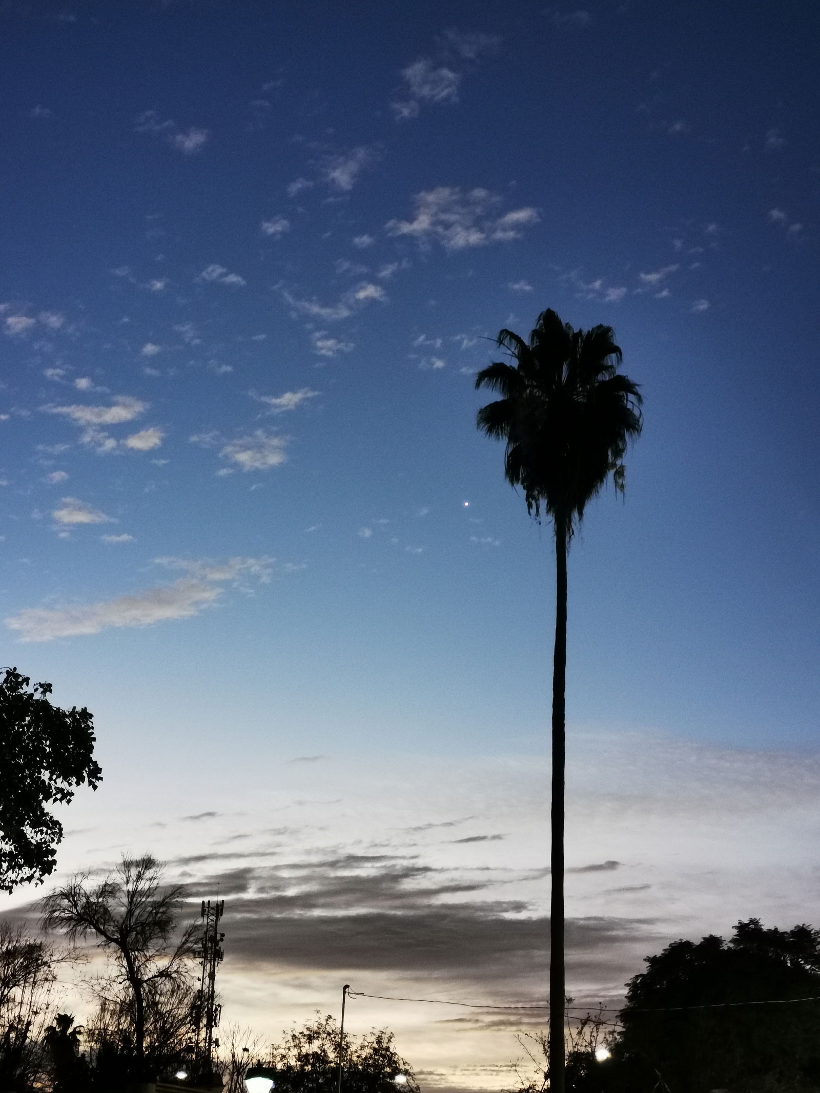 Angel&amp;Sebas photo