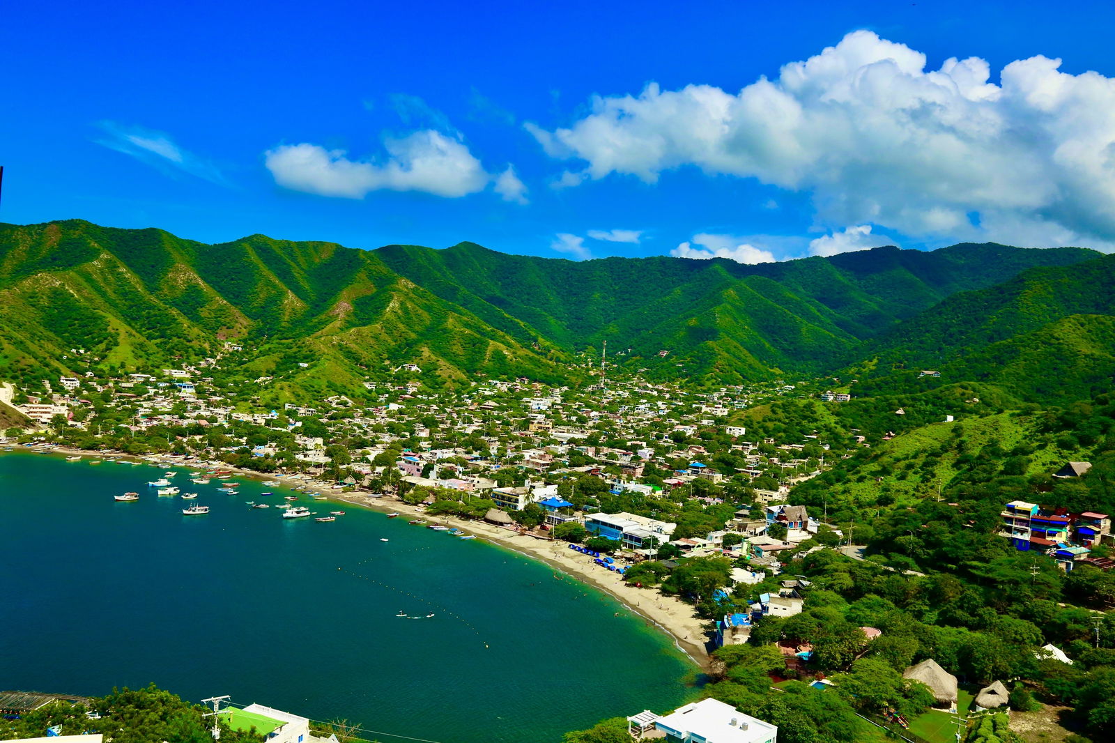 Alexander Moreno Bermudez photo