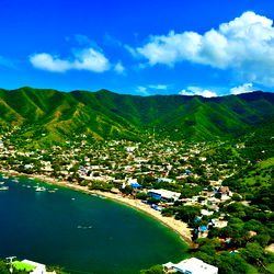 Alexander Moreno Bermudez photo