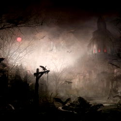 Tyler Harrison photo