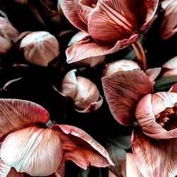 Your virtual girlfriend 💖 photo