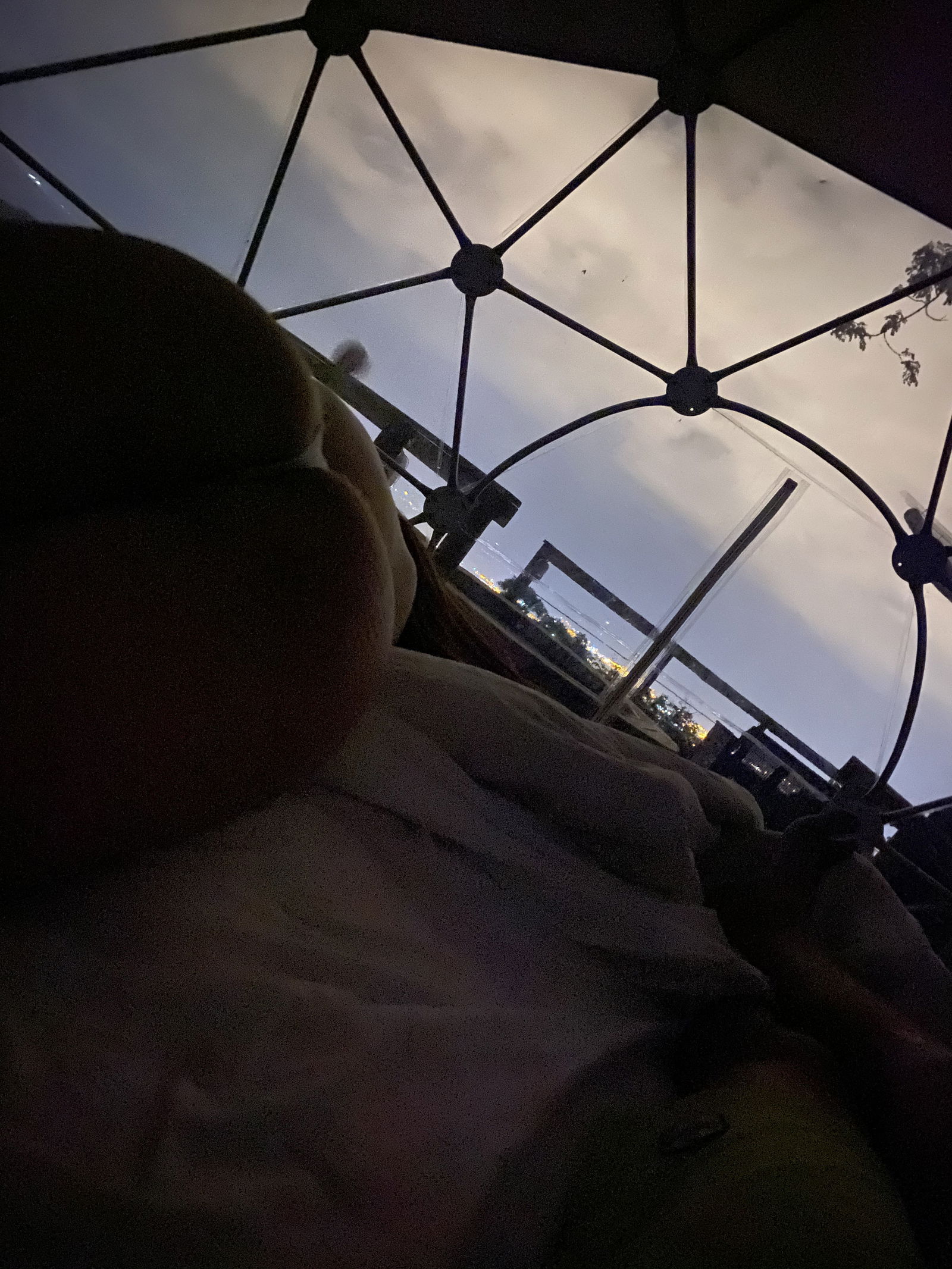 Alejandra Gomez photo