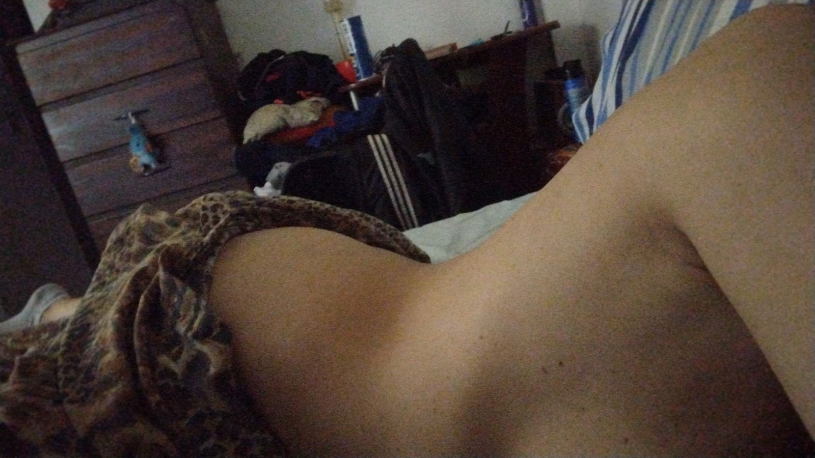 Enana acuariana photo