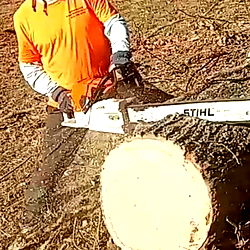 A Man Operating a Chainsaw in the Field