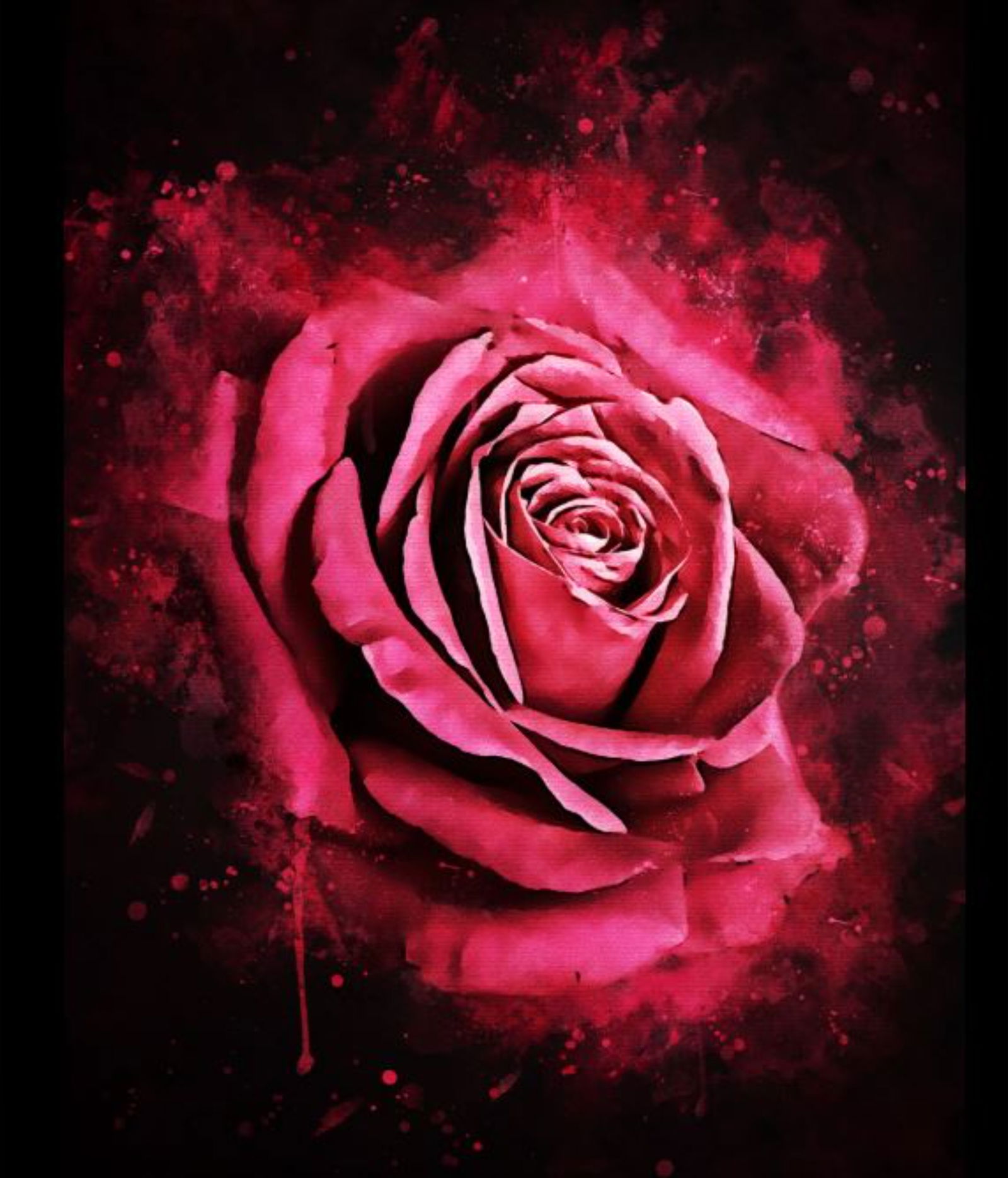 Aurora Willows Goddess support. photo