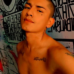 Modeling in a Lively Studio