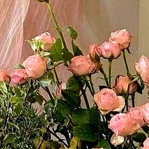 Model Flower Display with OnlyFans Influencer