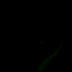 Intimate Moment of Nigel Roberts