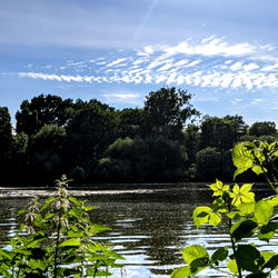 Pedro Andrรฉ photo