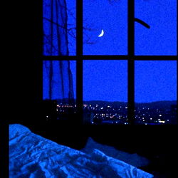 Littlelynxydoll photo